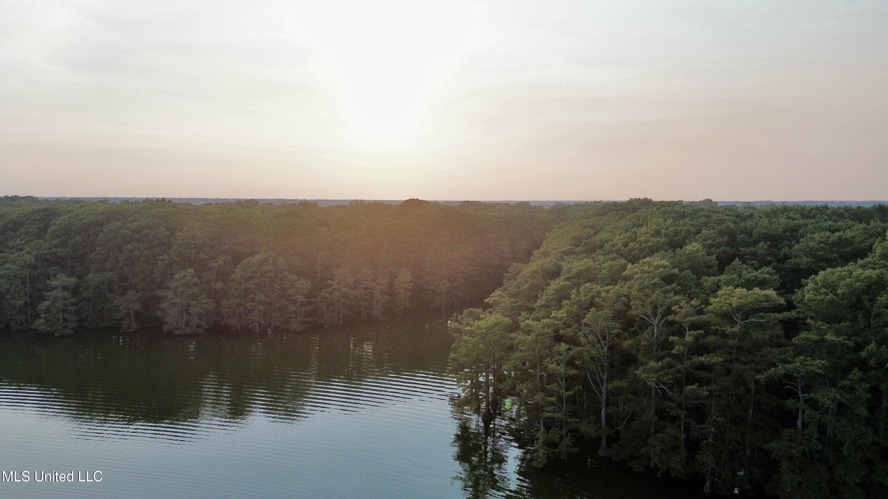 Bolivar Road Benoit, MS 38725 - Photo 3 of 112 dji_fly_20250804_222028_475_175452891199