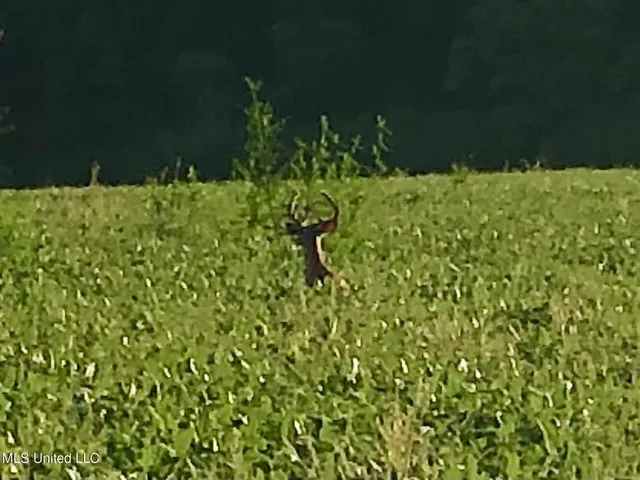 $1,250,000 | Bolivar Road, Benoit, MS 38725