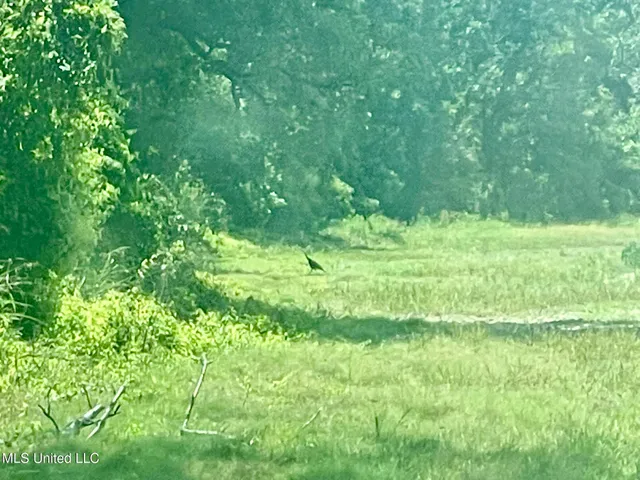 $1,250,000 | Bolivar Road, Benoit, MS 38725