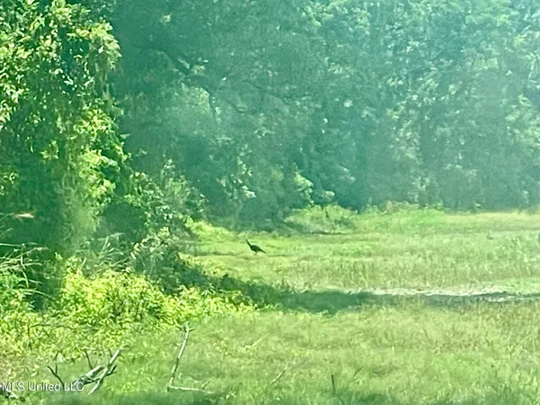 $1,250,000 | Bolivar Road, Benoit, MS 38725