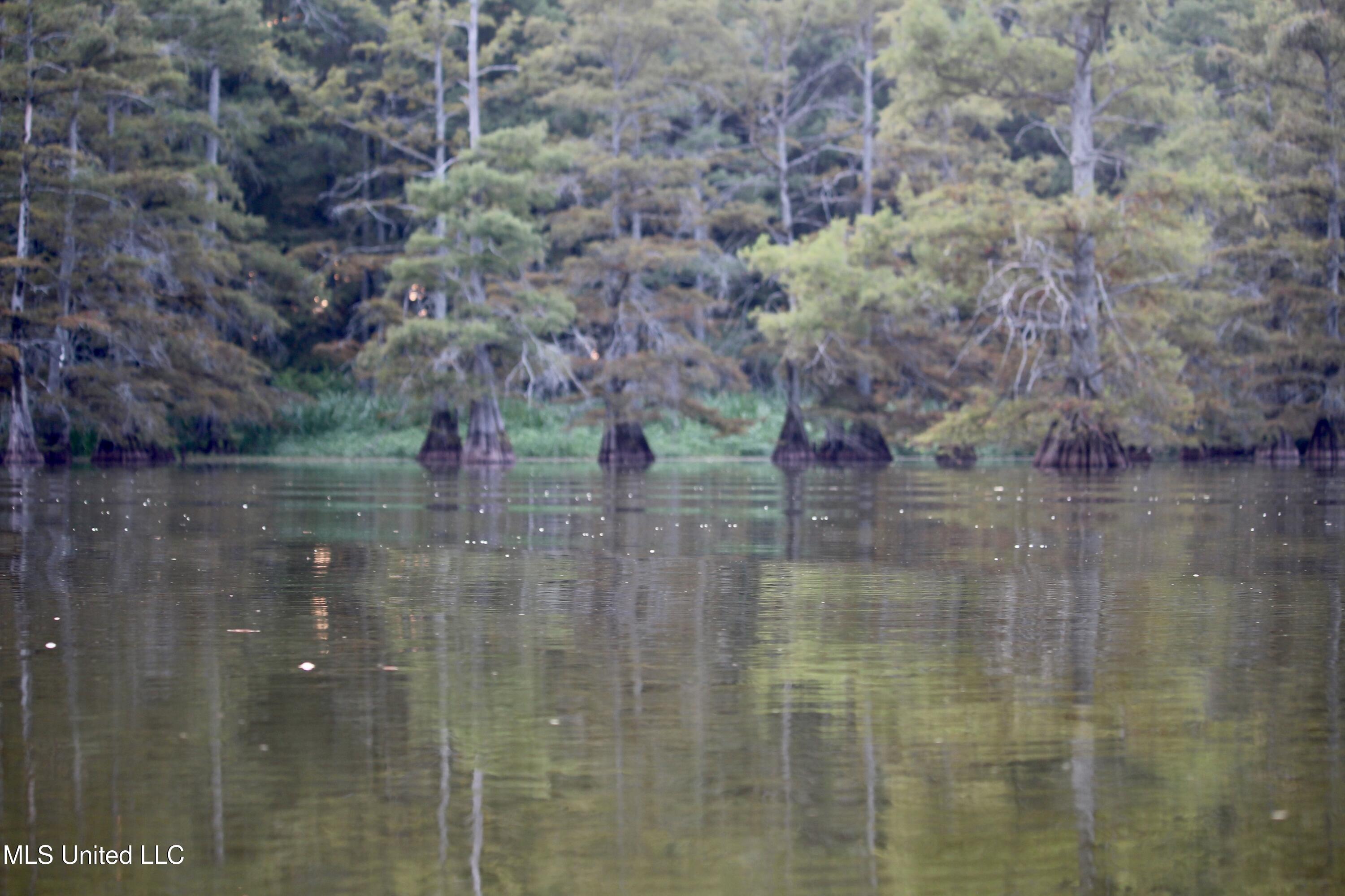 Bolivar Road Benoit, MS 38725 - Photo 35 of 112 IMG_0446