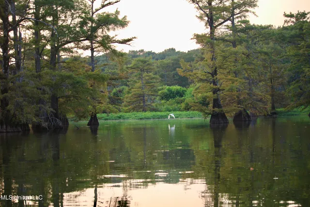 $1,250,000 | Bolivar Road, Benoit, MS 38725