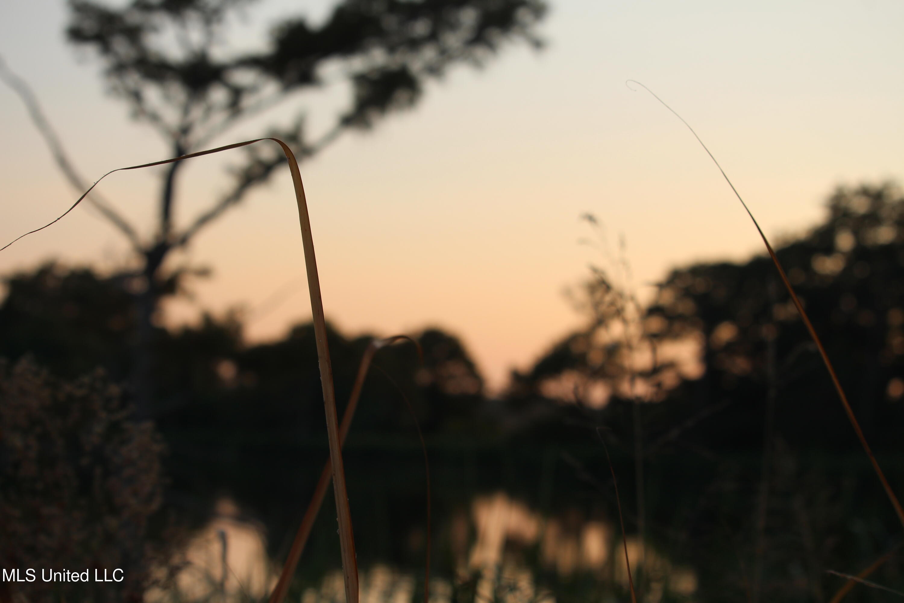 Bolivar Road Benoit, MS 38725 - Photo 38 of 112 IMG_0363
