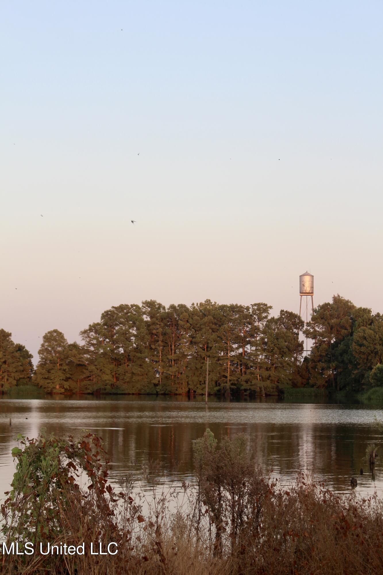 Bolivar Road Benoit, MS 38725 - Photo 43 of 112 IMG_0368