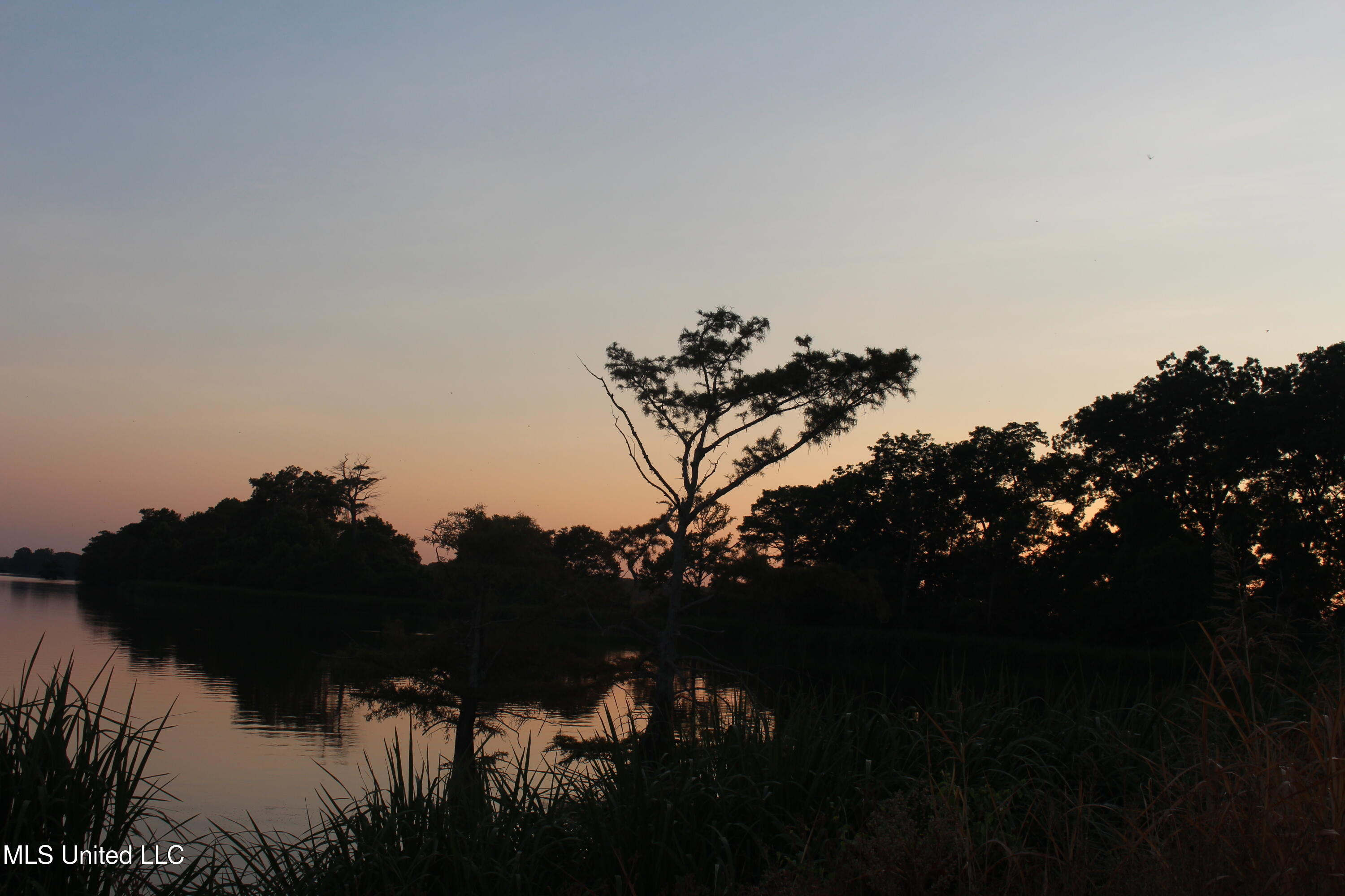 Bolivar Road Benoit, MS 38725 - Photo 45 of 112 IMG_0375