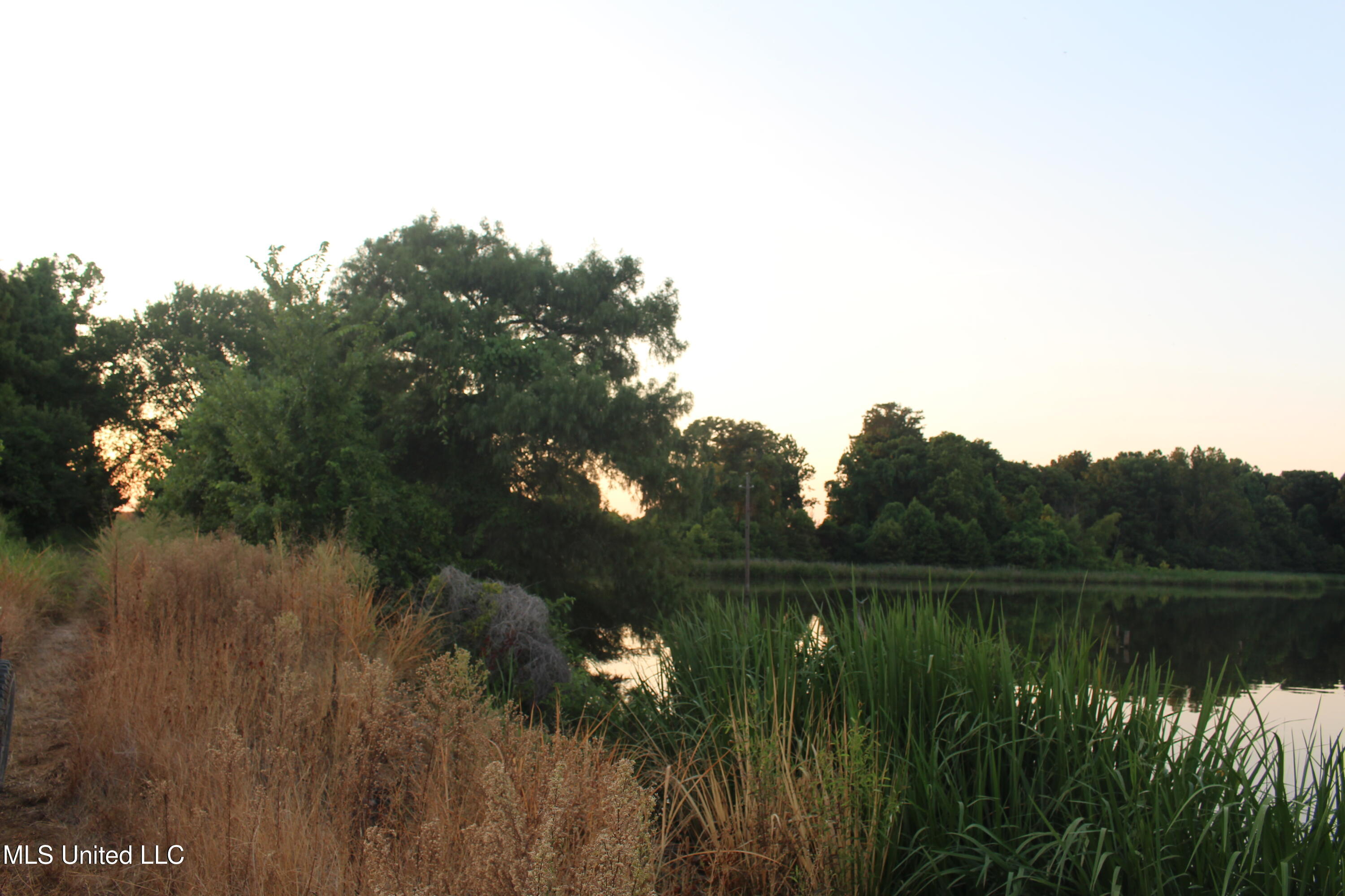 Bolivar Road Benoit, MS 38725 - Photo 46 of 112 IMG_0376