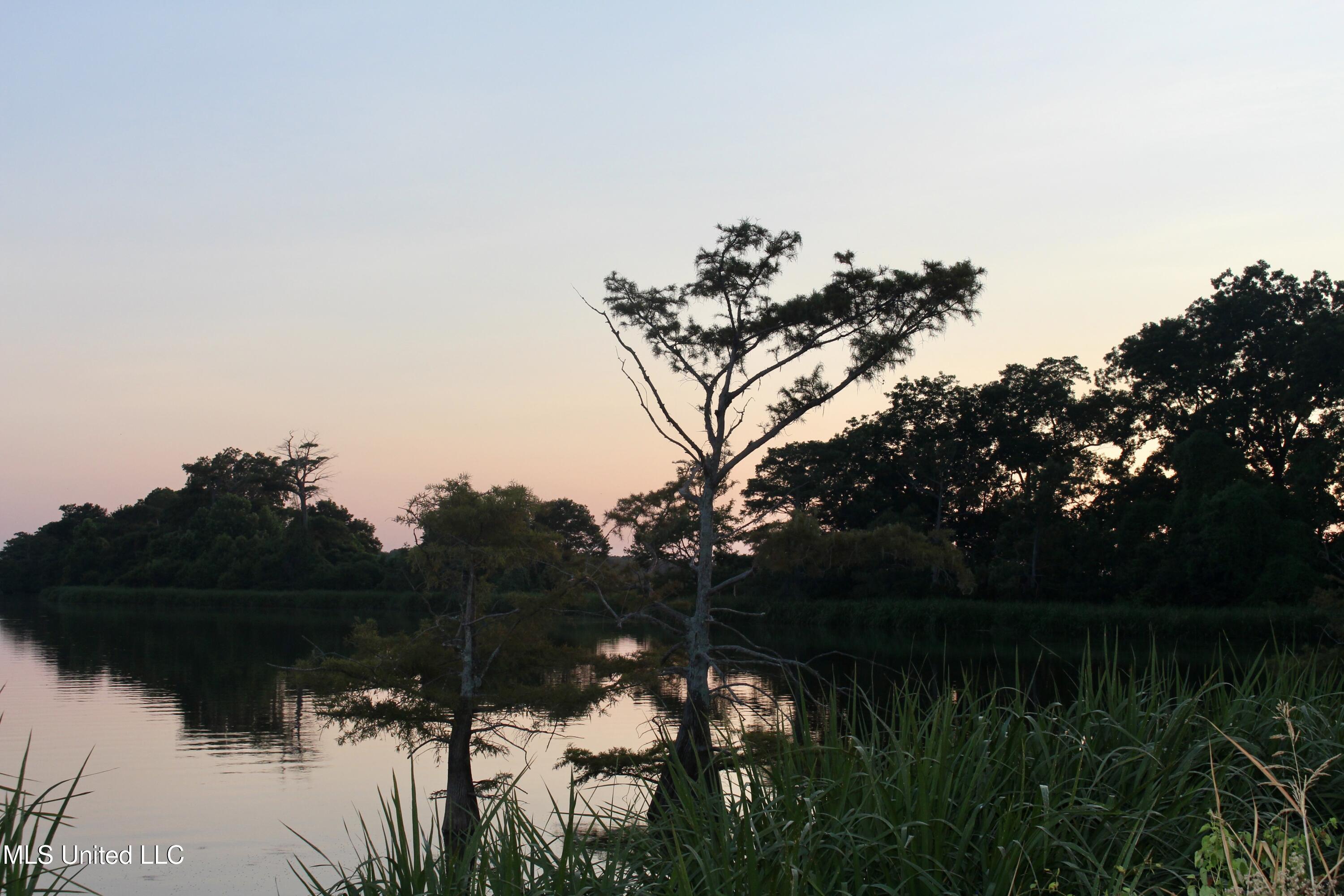 Bolivar Road Benoit, MS 38725 - Photo 47 of 112 IMG_0382