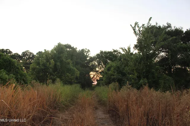 $1,250,000 | Bolivar Road, Benoit, MS 38725