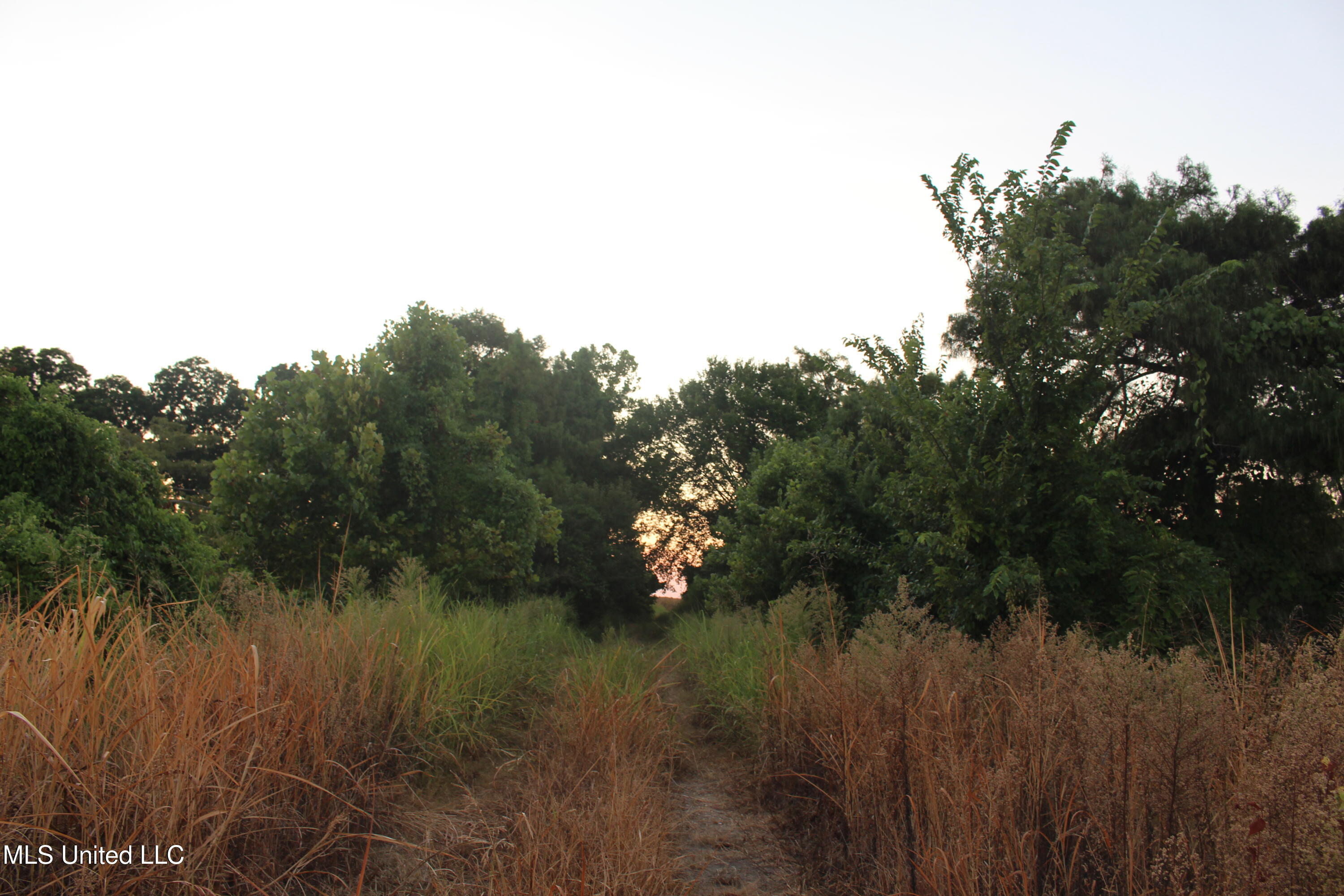 Bolivar Road Benoit, MS 38725 - Photo 50 of 112 IMG_0393