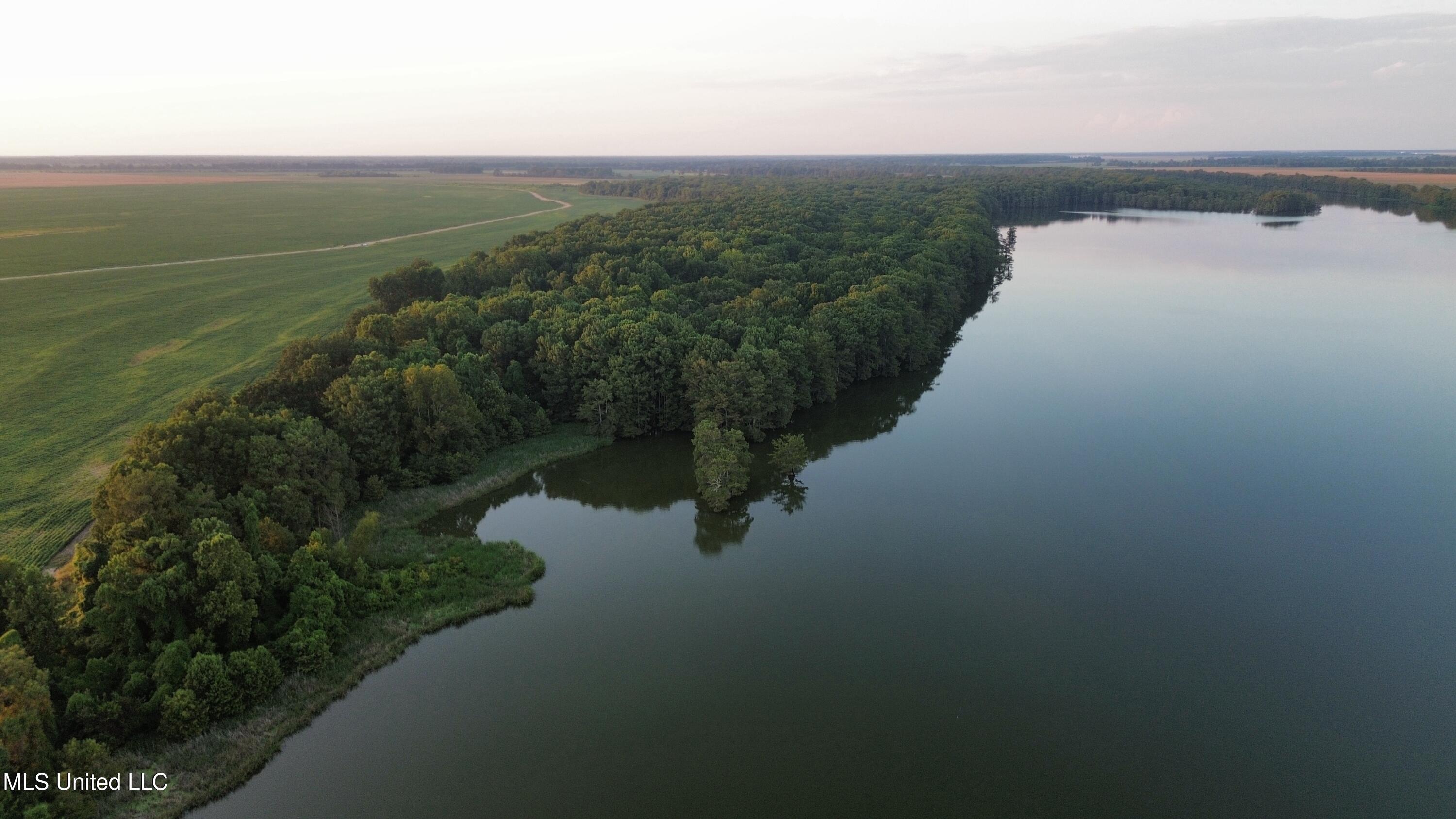 Bolivar Road Benoit, MS 38725 - Photo 5 of 112 dji_fly_20250803_225212_449_175447726325