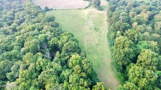 $1,250,000 | Bolivar Road, Benoit, MS 38725