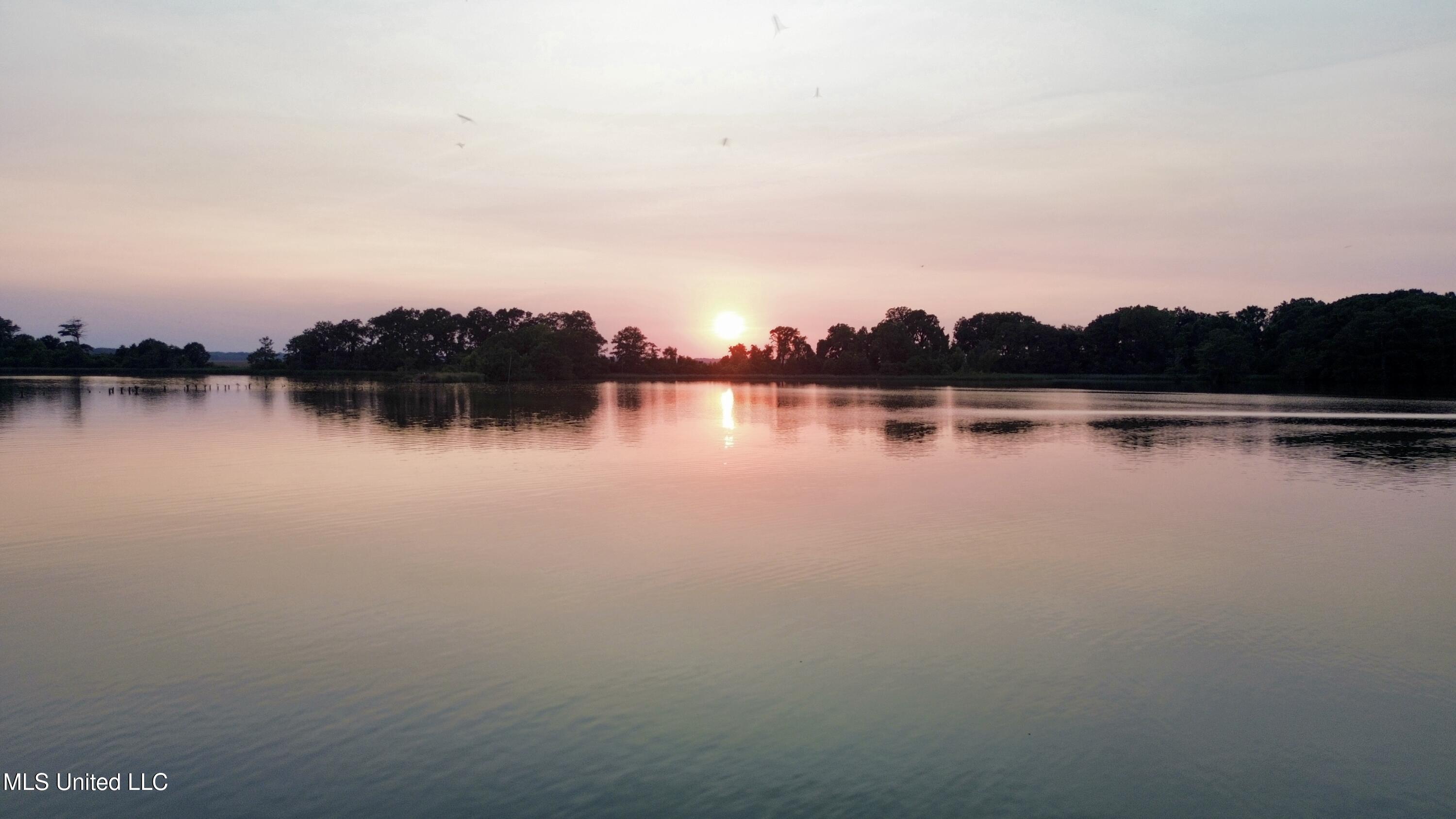 Bolivar Road Benoit, MS 38725 - Photo 70 of 112 dji_fly_20250804_225502_515_175452890169