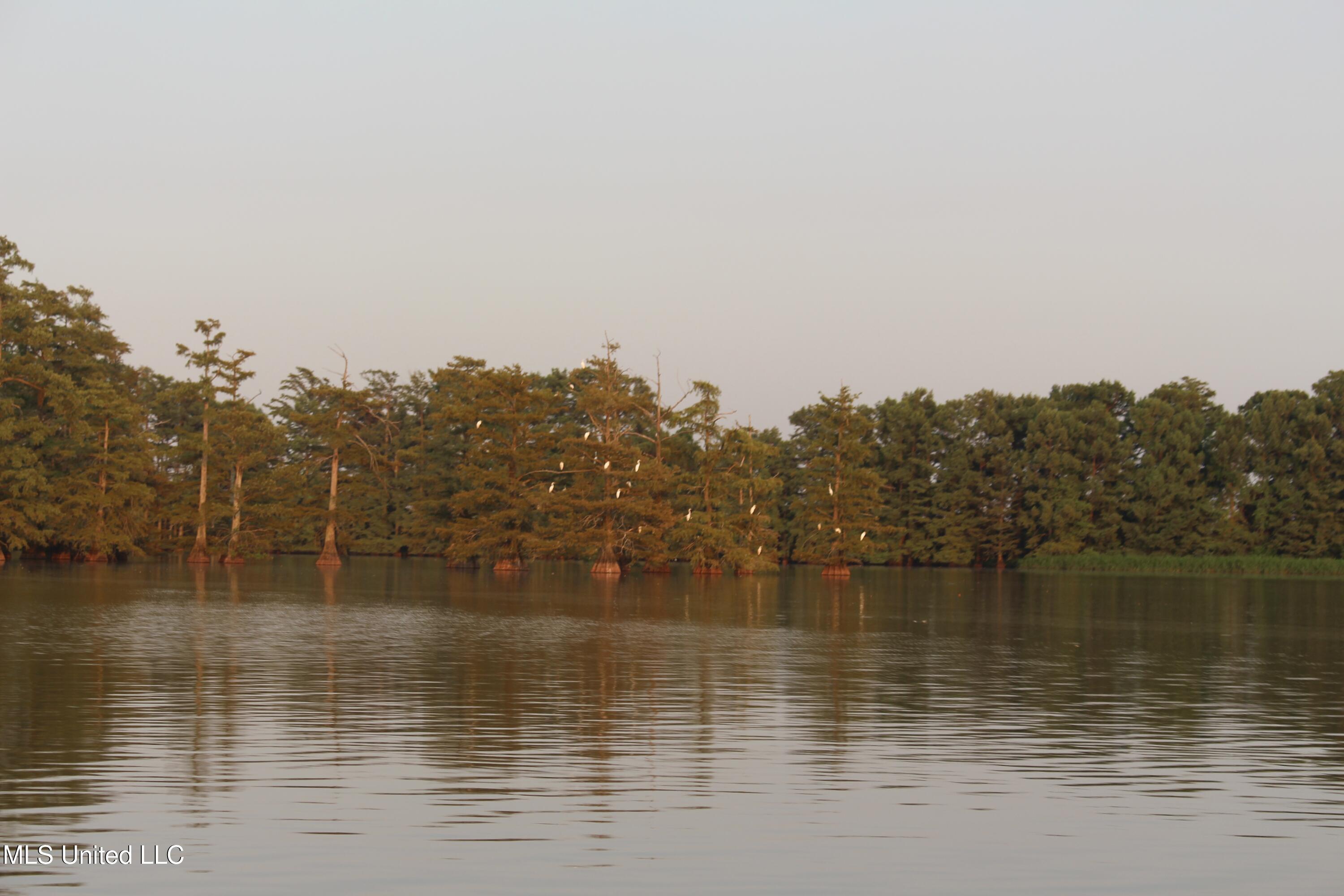 Bolivar Road Benoit, MS 38725 - Photo 71 of 112 IMG_0405