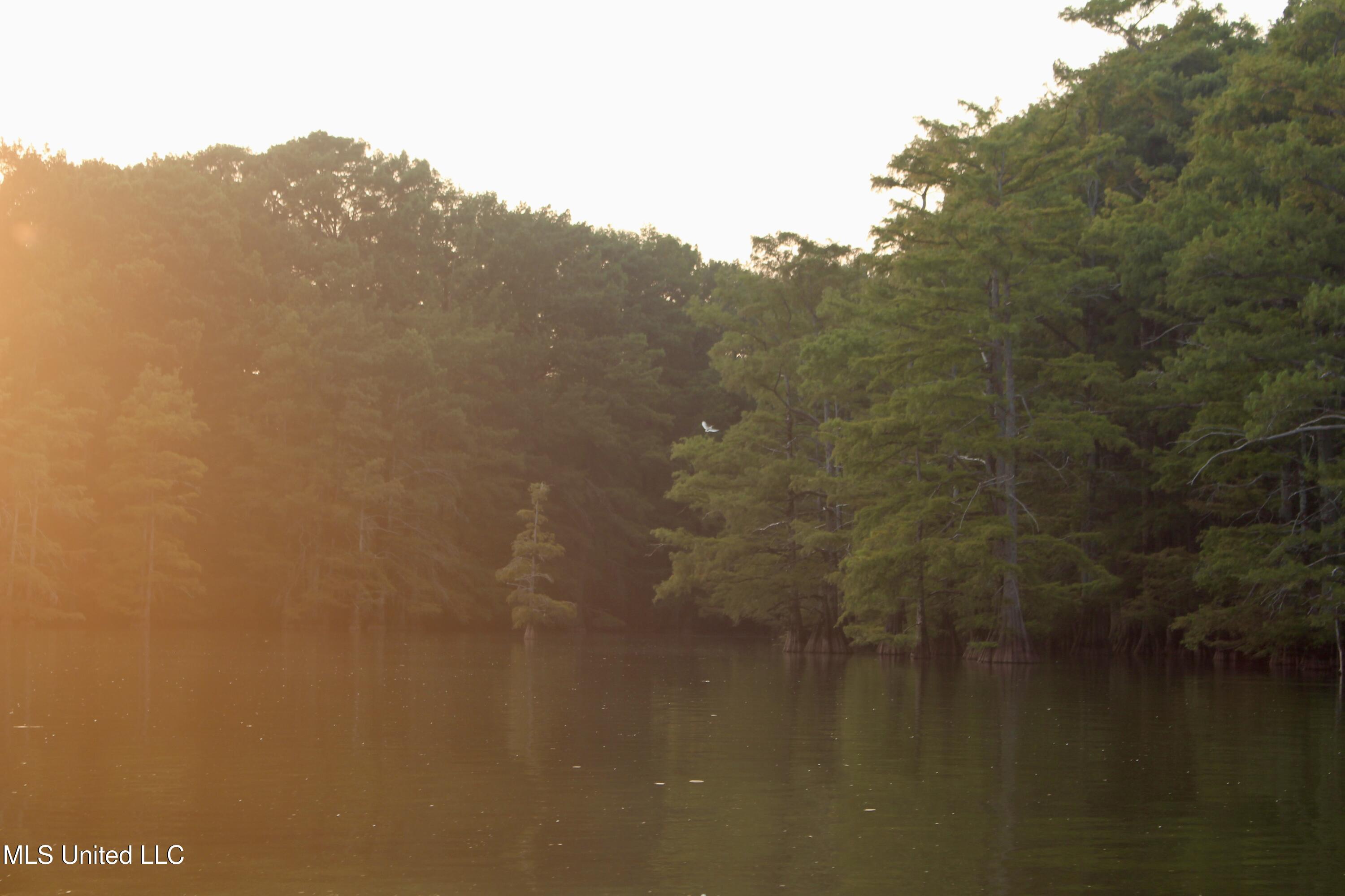 Bolivar Road Benoit, MS 38725 - Photo 72 of 112 IMG_0407