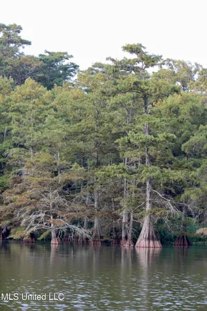 $1,250,000 | Bolivar Road, Benoit, MS 38725