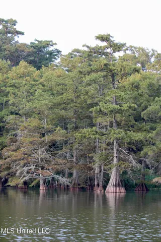 $1,250,000 | Bolivar Road, Benoit, MS 38725