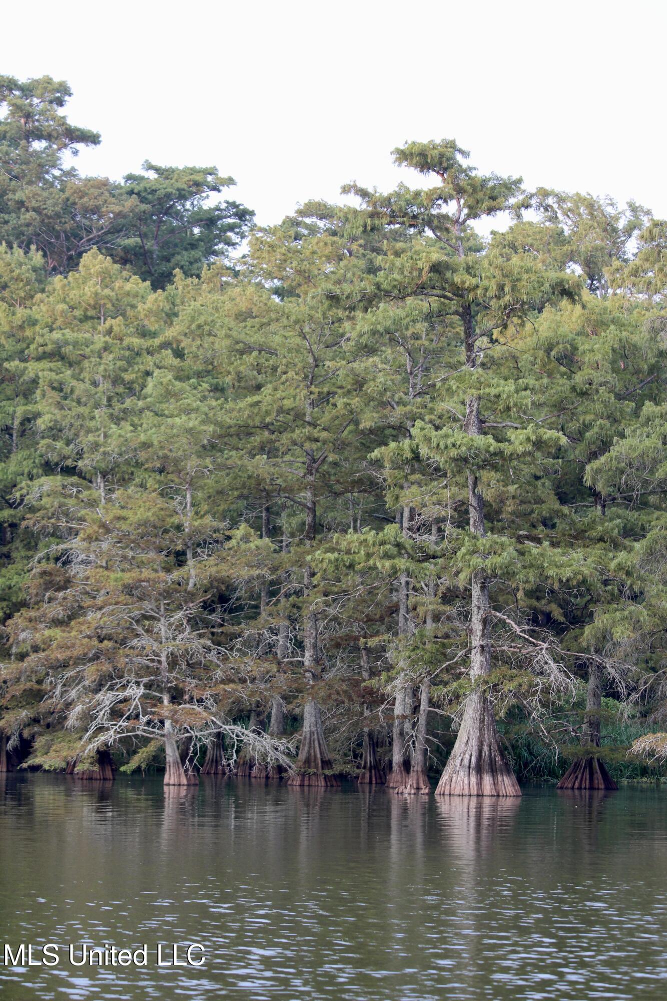 Bolivar Road Benoit, MS 38725 - Photo 73 of 112 IMG_0412