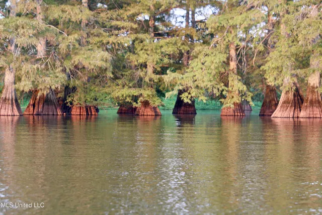 $1,250,000 | Bolivar Road, Benoit, MS 38725