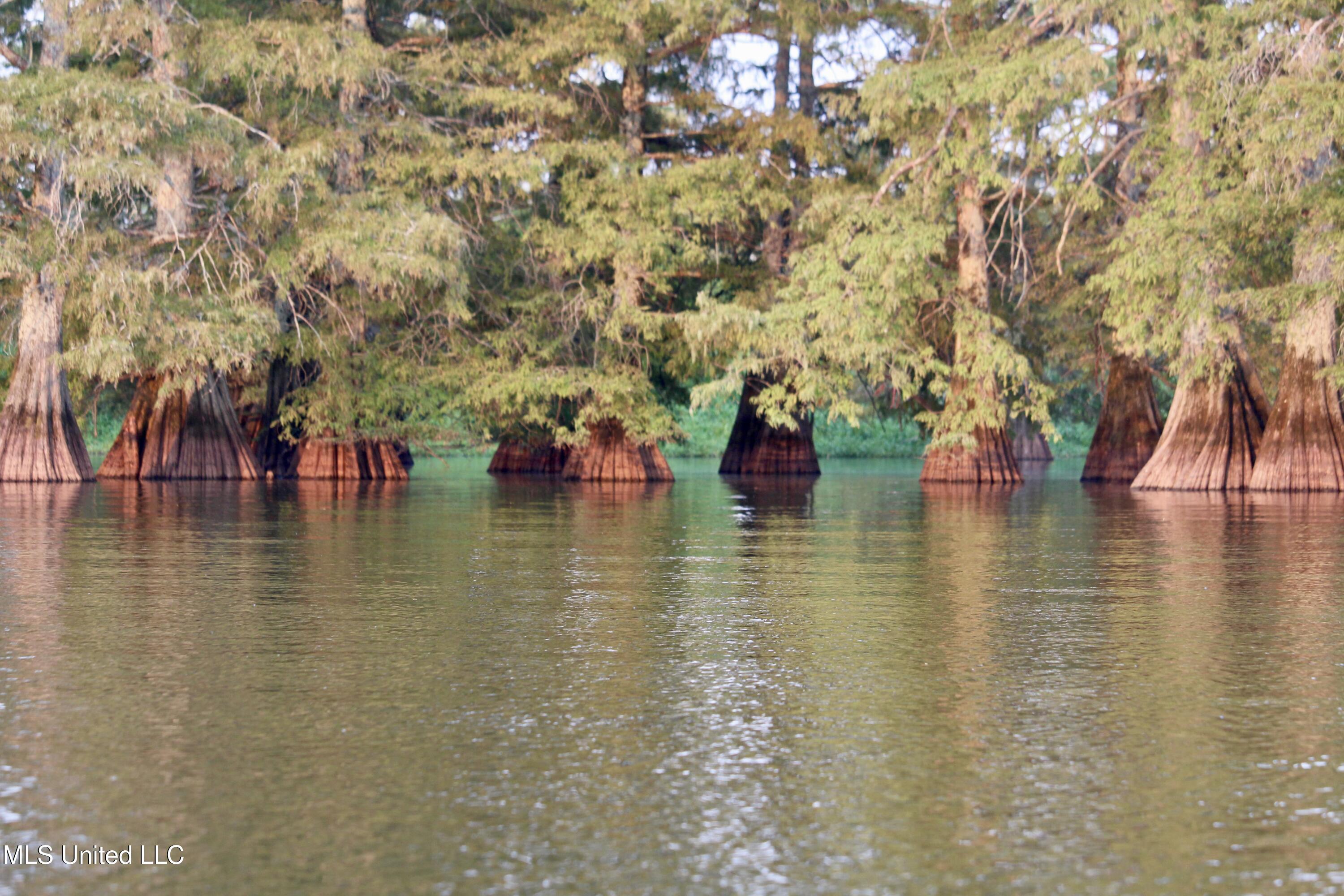 Bolivar Road Benoit, MS 38725 - Photo 74 of 112 IMG_0415