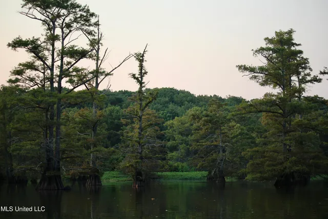 $1,250,000 | Bolivar Road, Benoit, MS 38725