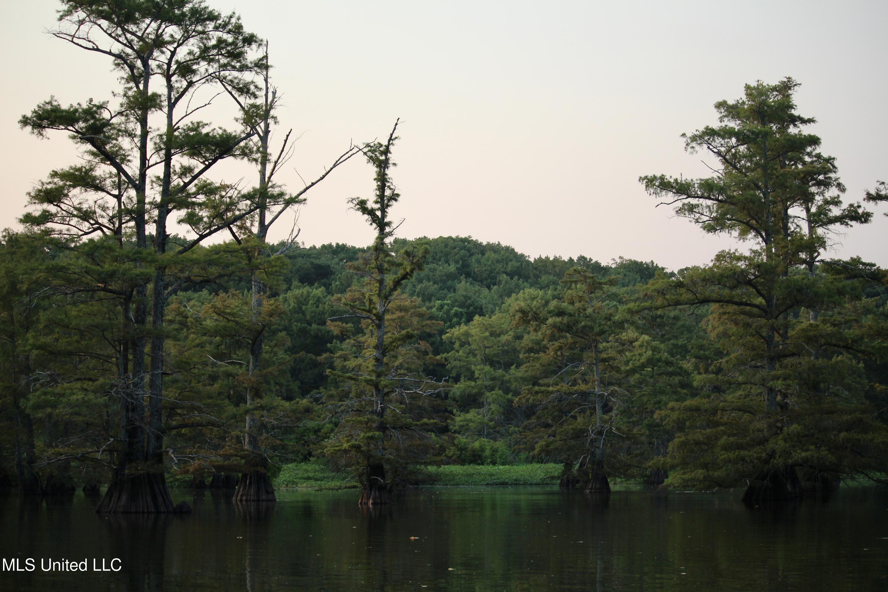Bolivar Road Benoit, MS 38725 - Photo 75 of 112 IMG_0420