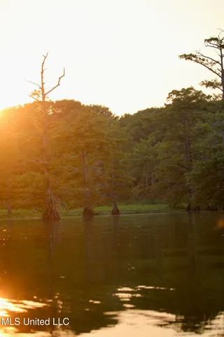 $1,250,000 | Bolivar Road, Benoit, MS 38725