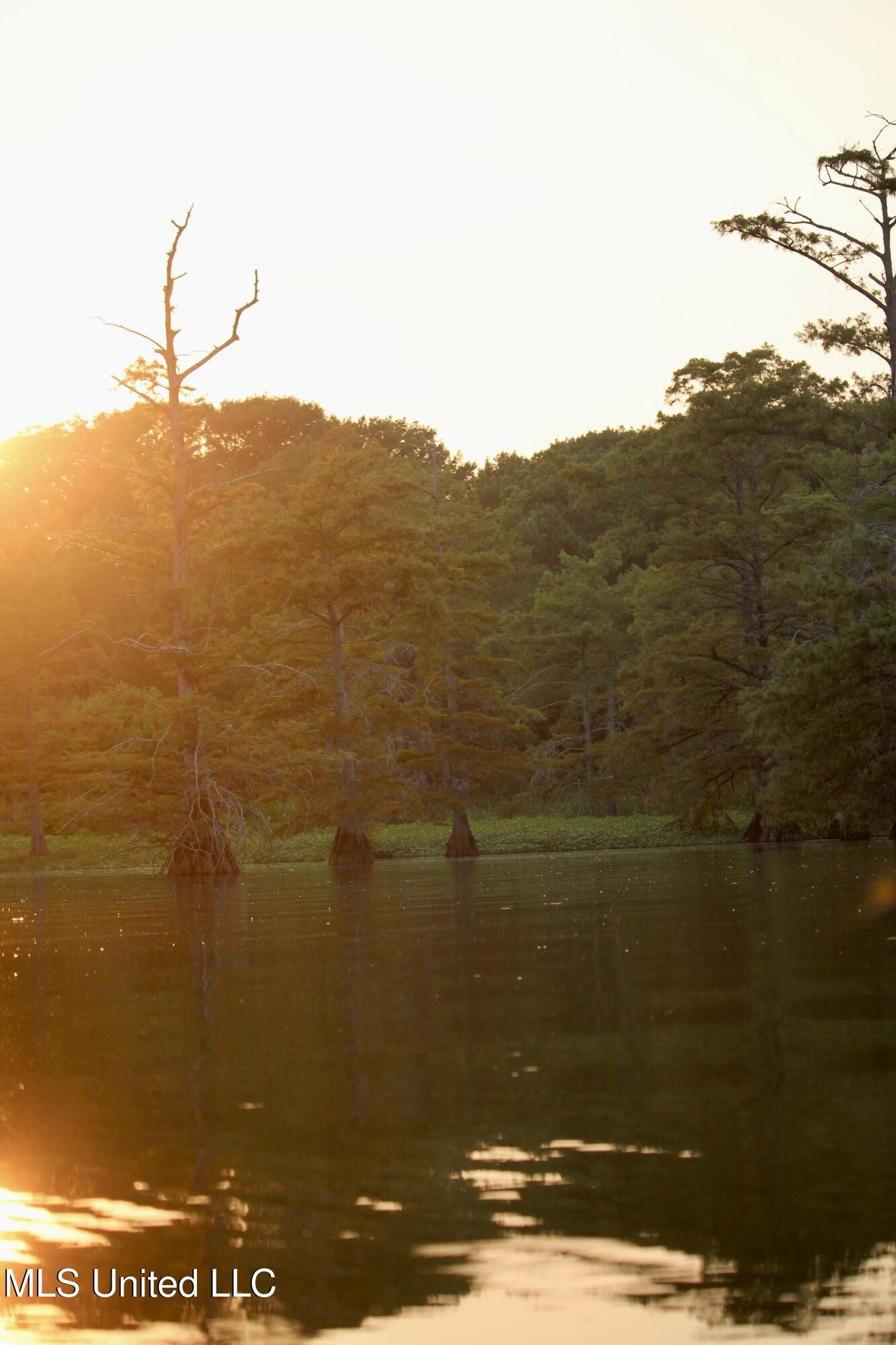 Bolivar Road Benoit, MS 38725 - Photo 76 of 112 IMG_0436