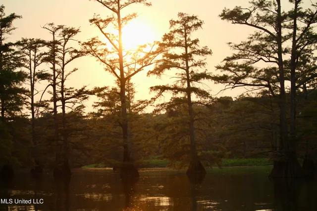 $1,250,000 | Bolivar Road, Benoit, MS 38725