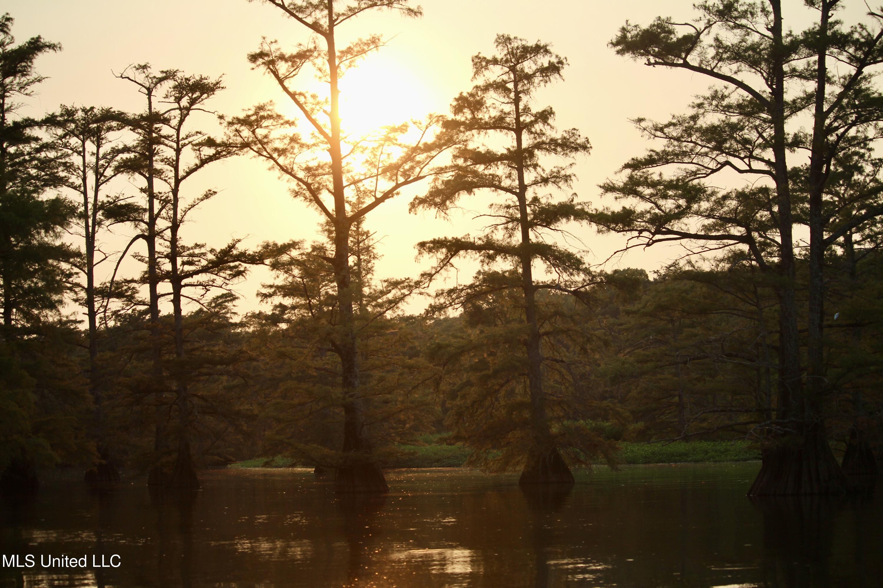 Bolivar Road Benoit, MS 38725 - Photo 77 of 112 IMG_0423