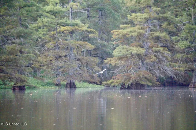 $1,250,000 | Bolivar Road, Benoit, MS 38725