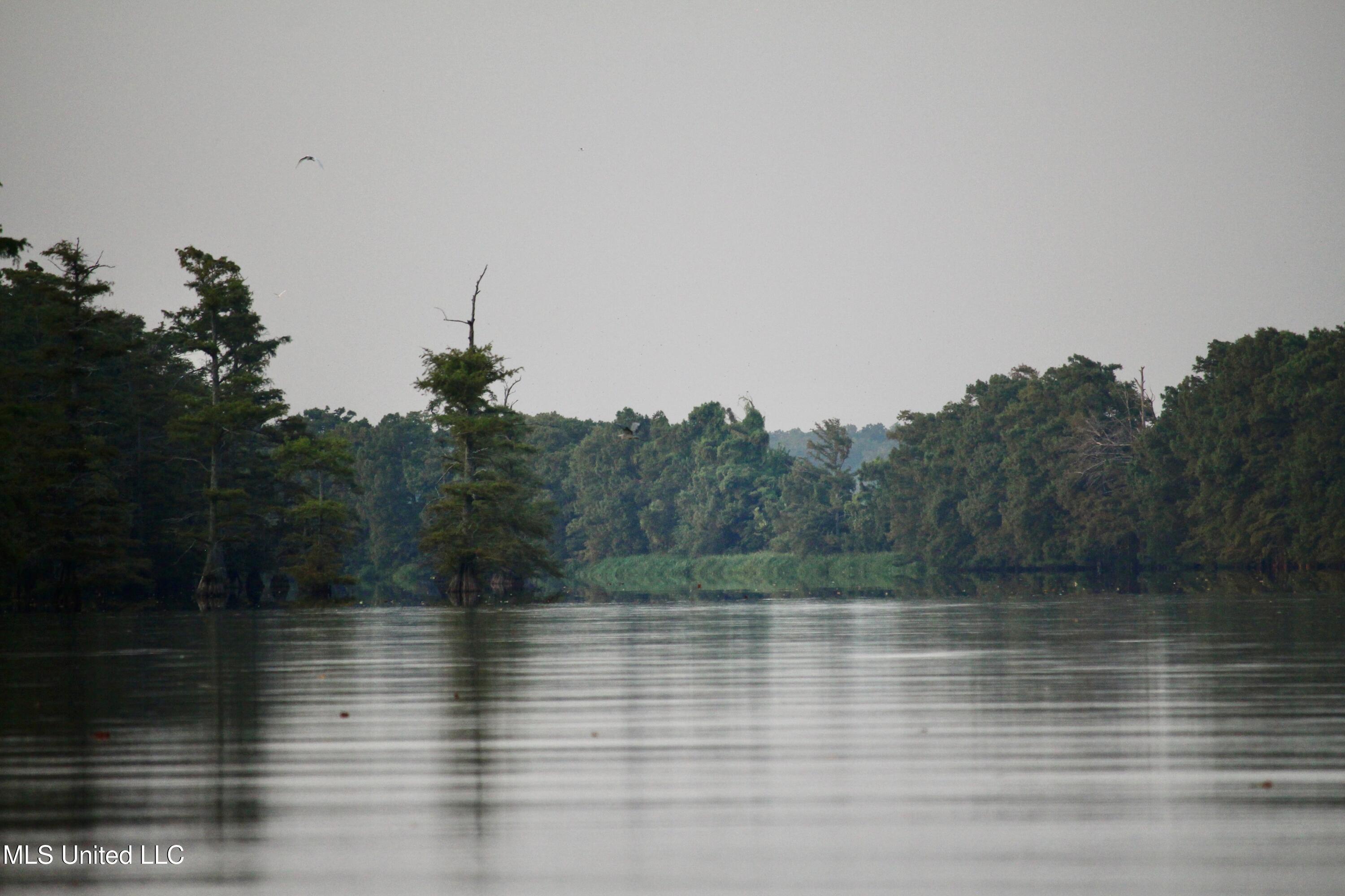 Bolivar Road Benoit, MS 38725 - Photo 79 of 112 IMG_0433