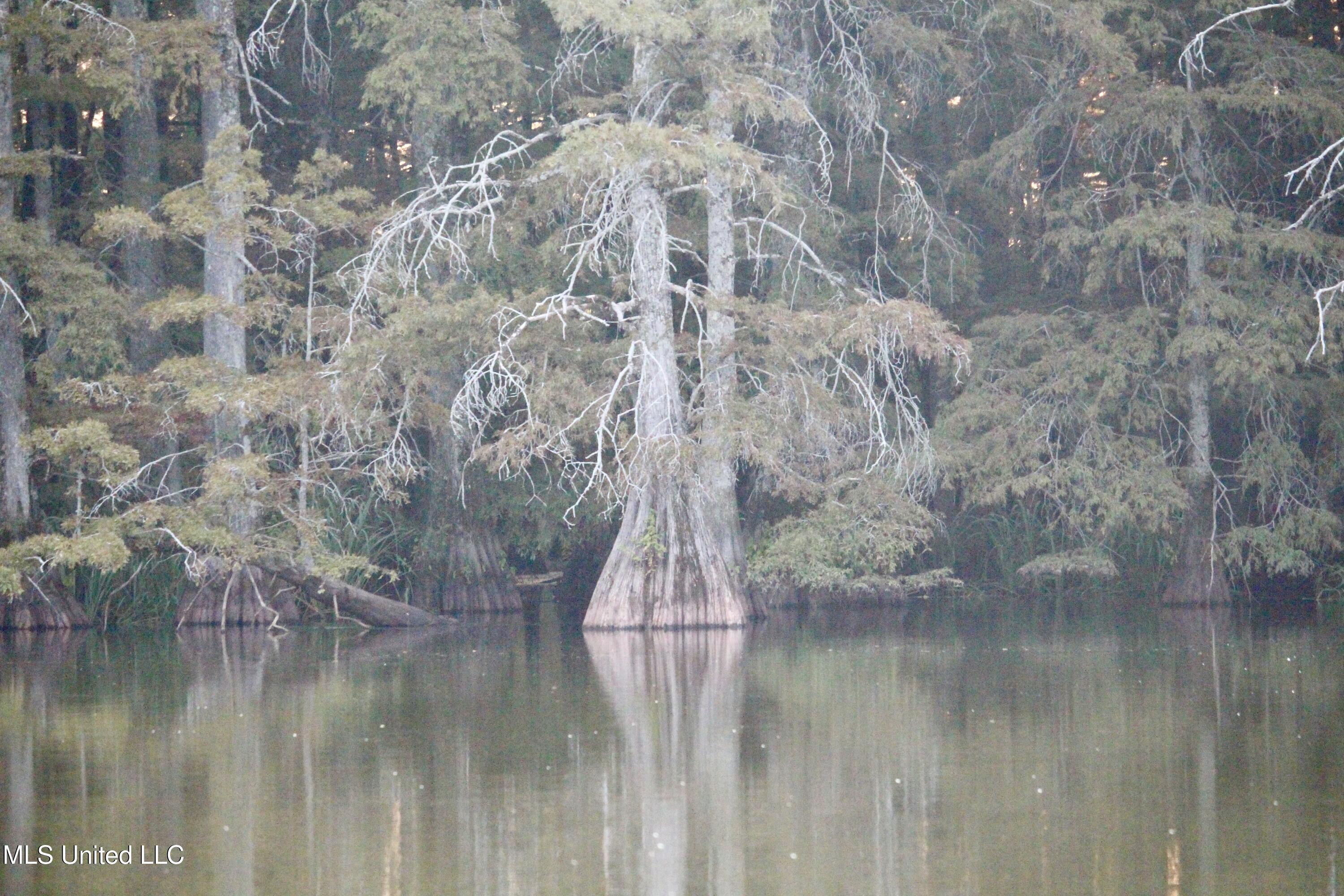 Bolivar Road Benoit, MS 38725 - Photo 81 of 112 IMG_0443