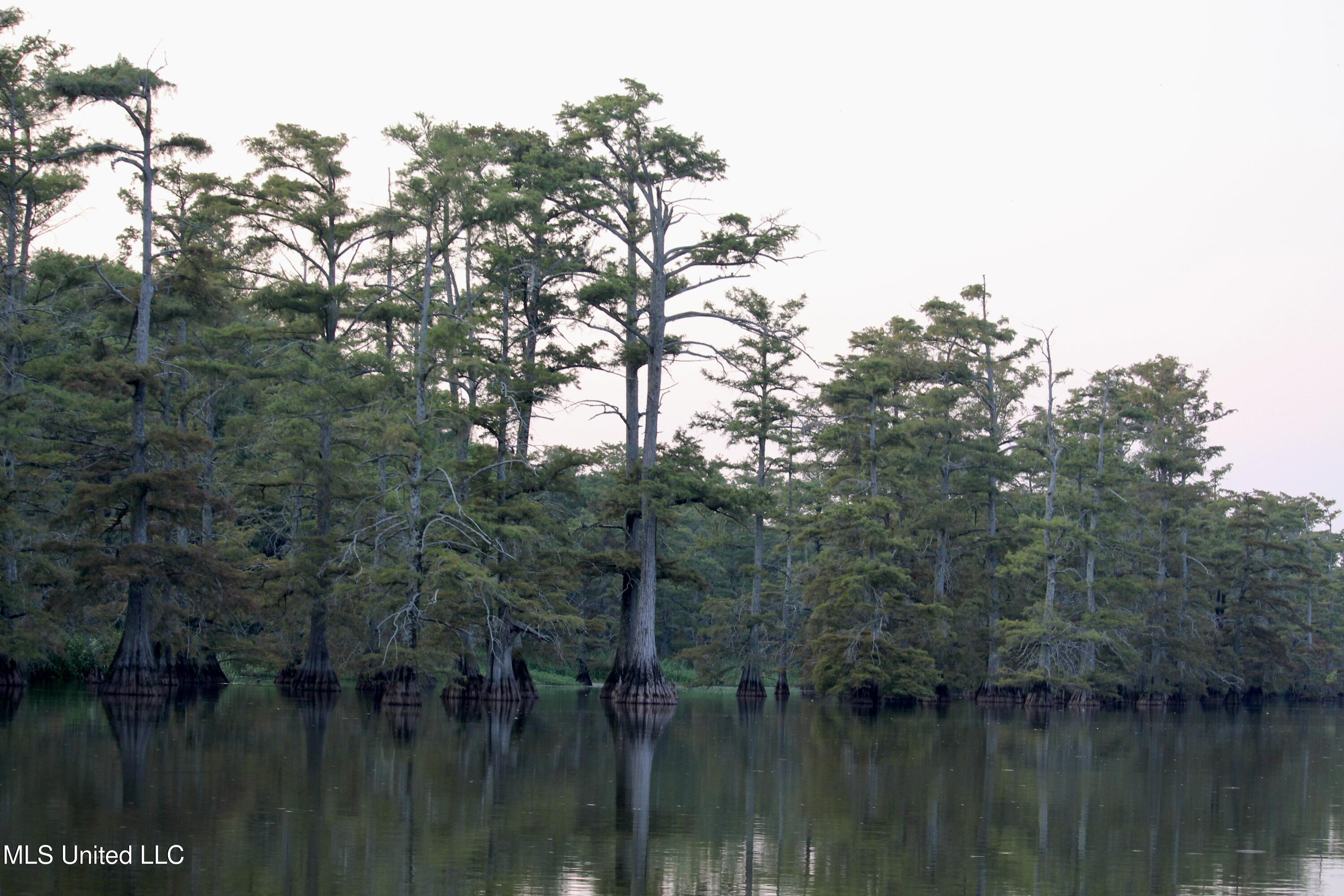 Bolivar Road Benoit, MS 38725 - Photo 82 of 112 IMG_0450