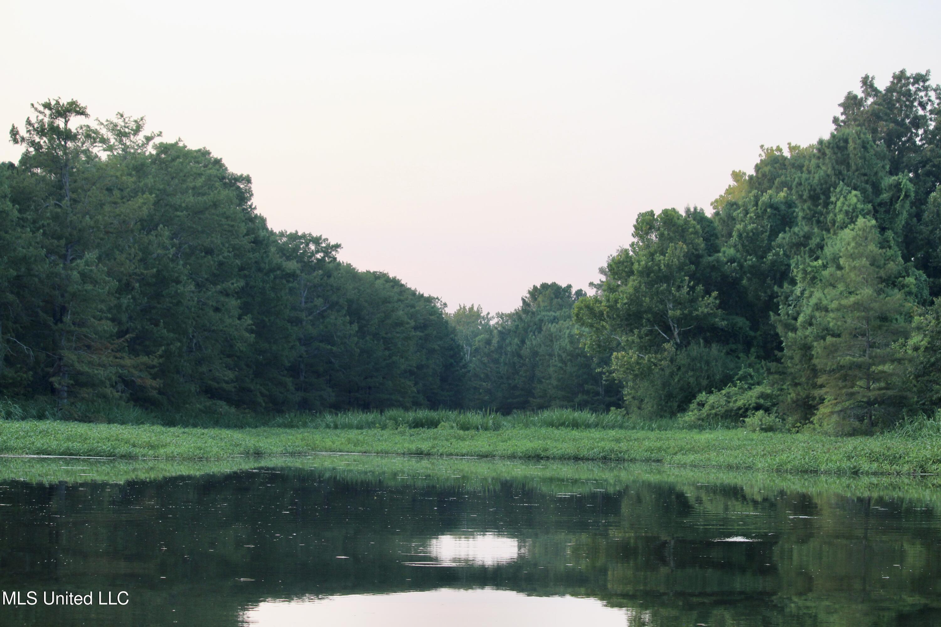 Bolivar Road Benoit, MS 38725 - Photo 83 of 112 IMG_0451