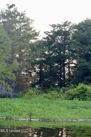 $1,250,000 | Bolivar Road, Benoit, MS 38725