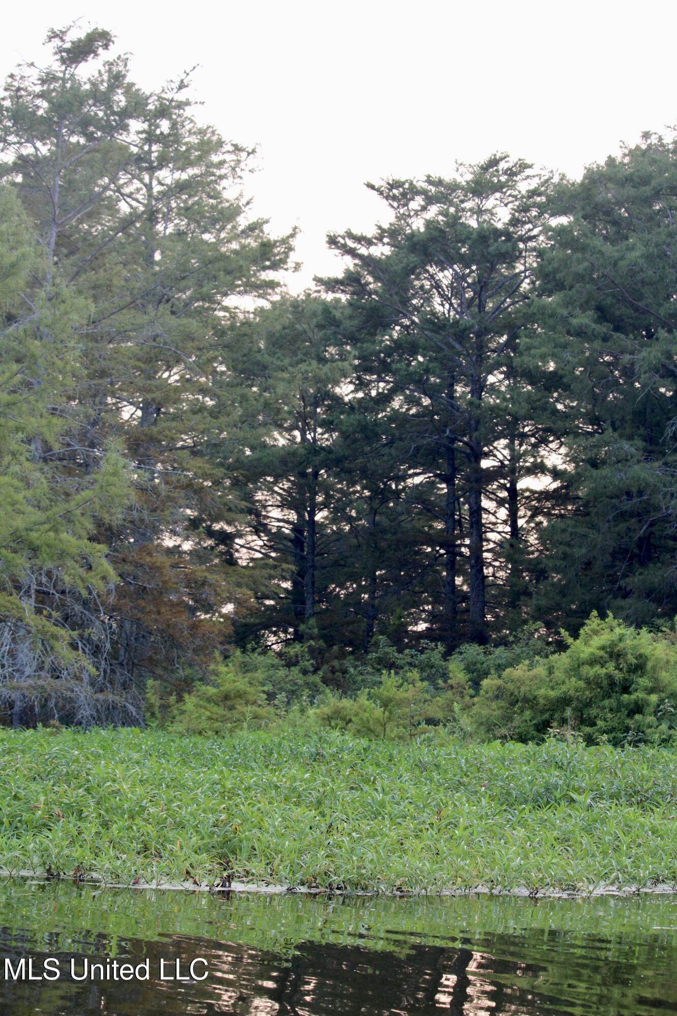 Bolivar Road Benoit, MS 38725 - Photo 84 of 112 IMG_0454