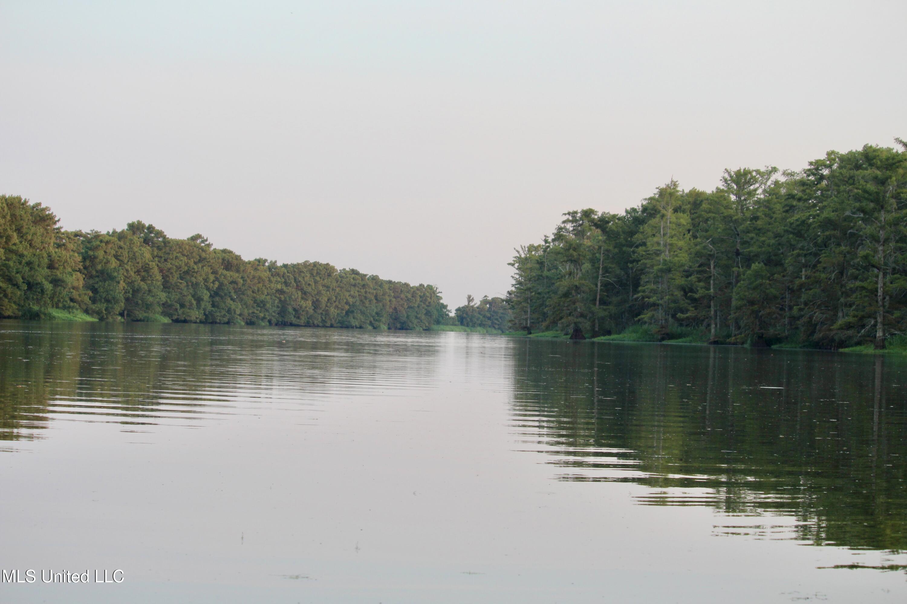Bolivar Road Benoit, MS 38725 - Photo 85 of 112 IMG_0456