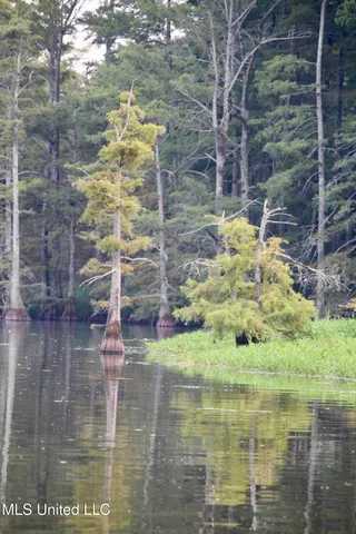 $1,250,000 | Bolivar Road, Benoit, MS 38725