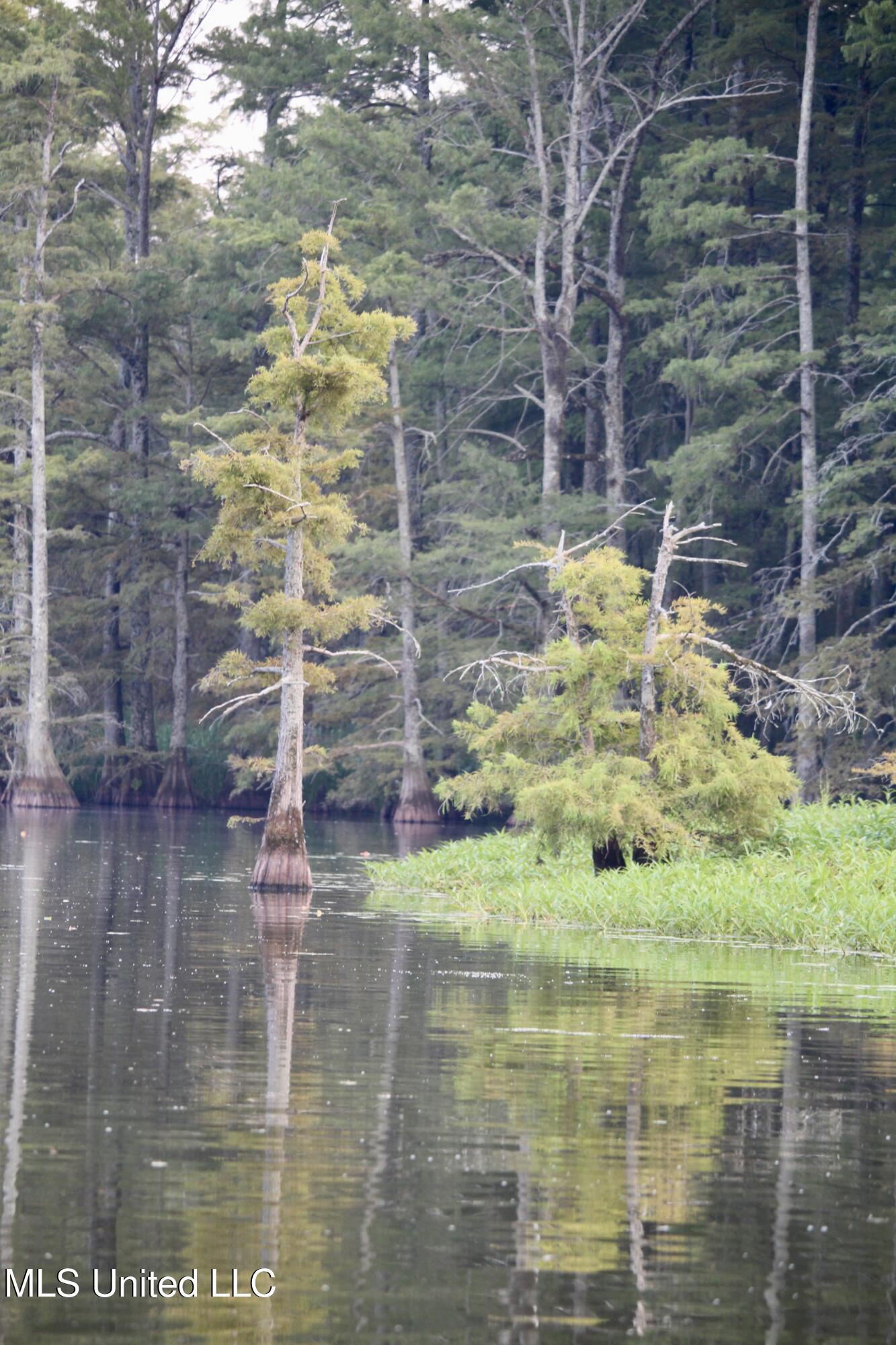 Bolivar Road Benoit, MS 38725 - Photo 86 of 112 IMG_0459