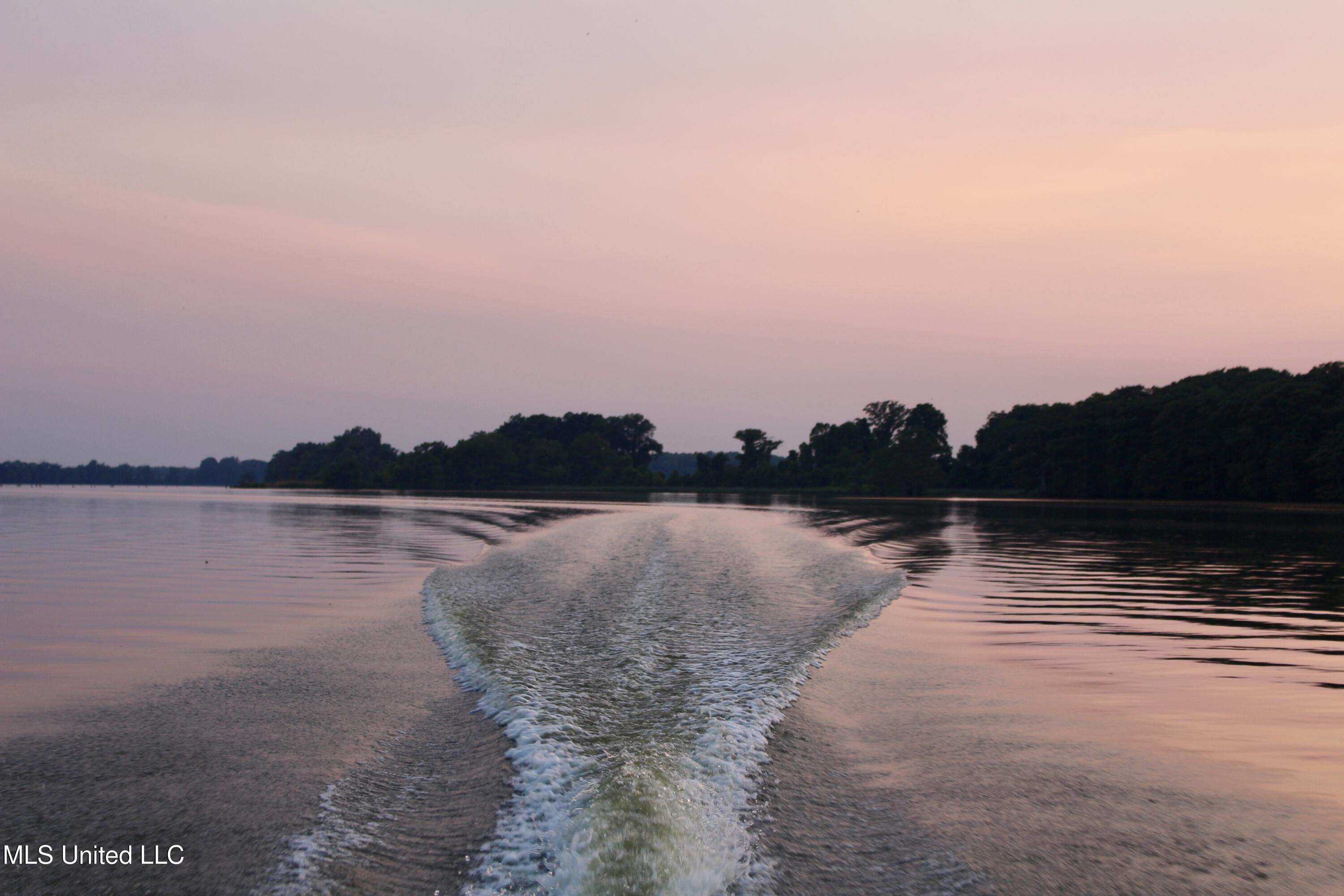 Bolivar Road Benoit, MS 38725 - Photo 87 of 112 IMG_0482