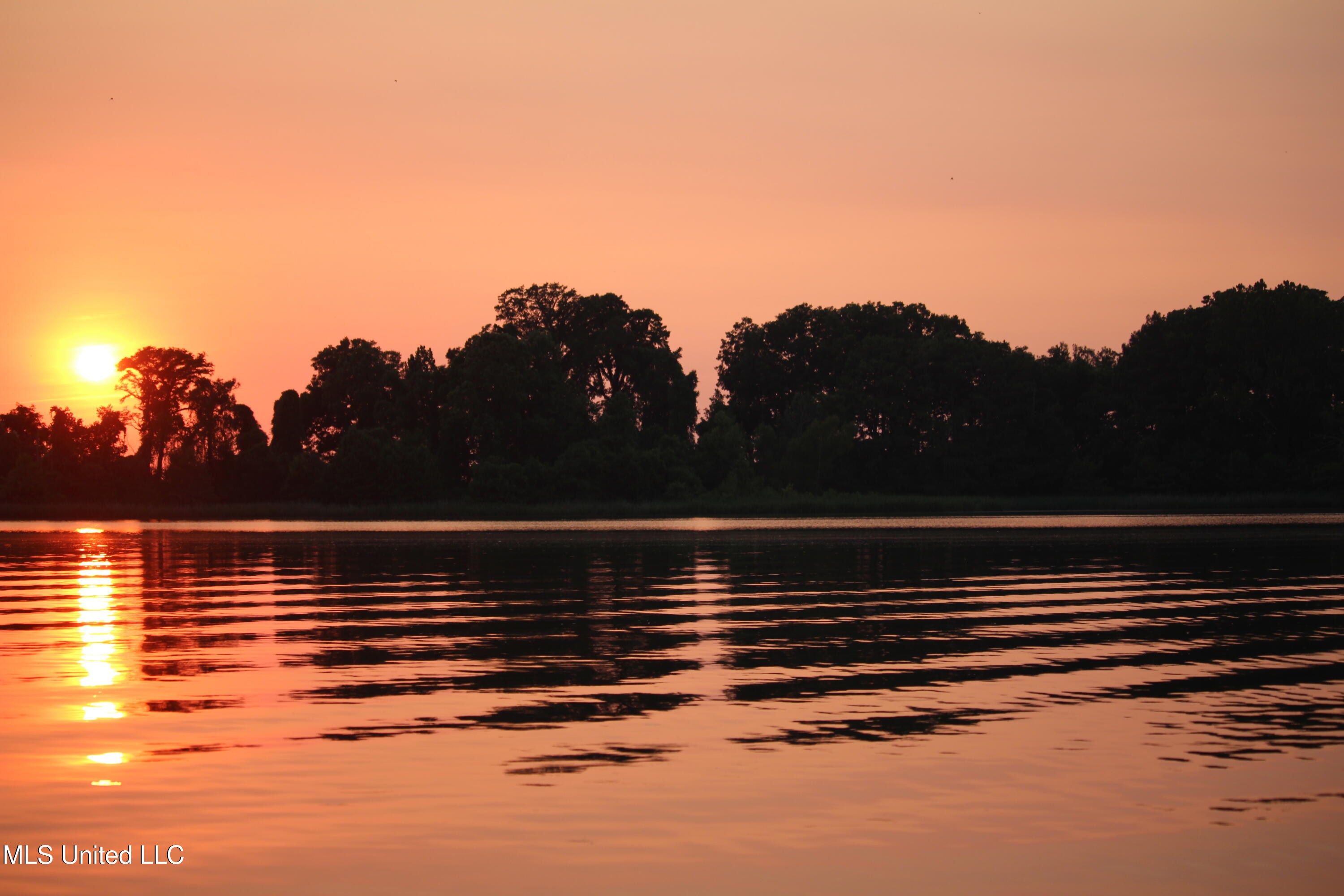 Bolivar Road Benoit, MS 38725 - Photo 88 of 112 IMG_0472
