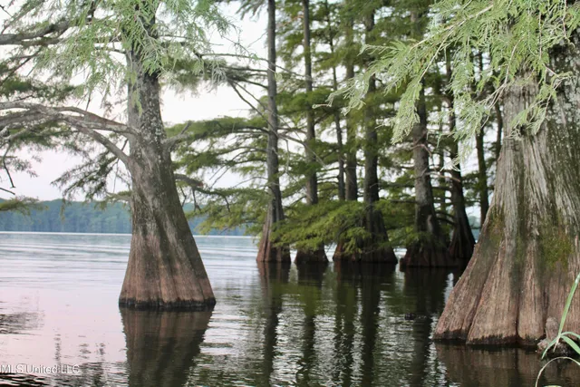 $1,250,000 | Bolivar Road, Benoit, MS 38725