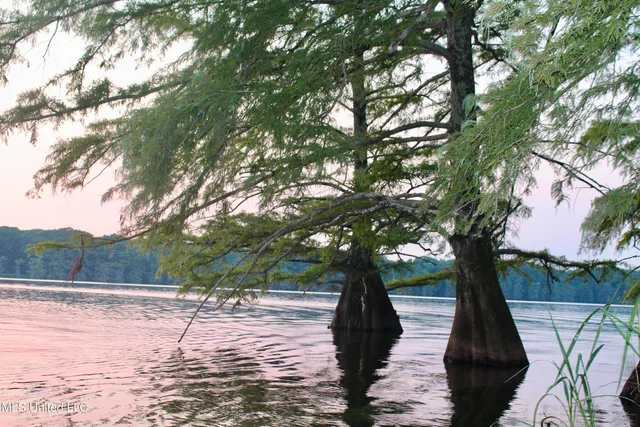 $1,250,000 | Bolivar Road, Benoit, MS 38725