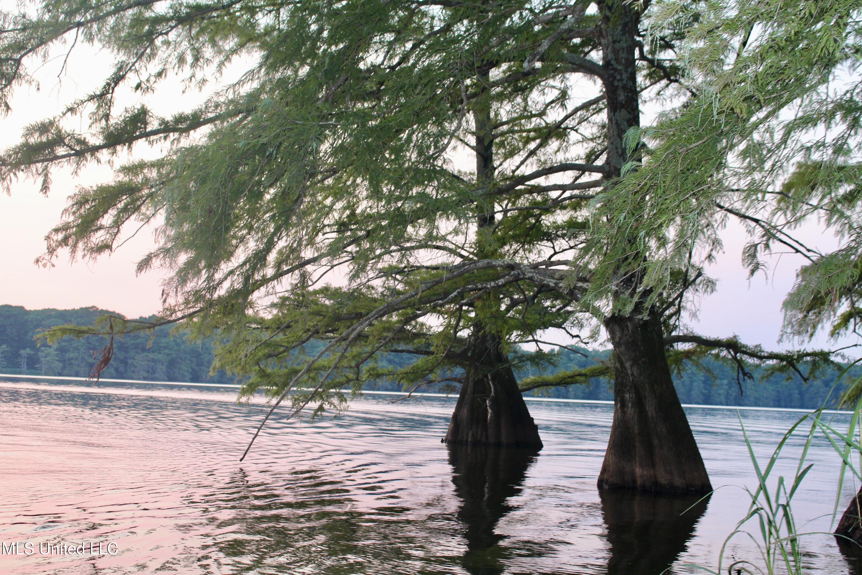 Bolivar Road Benoit, MS 38725 - Photo 91 of 112 IMG_0486