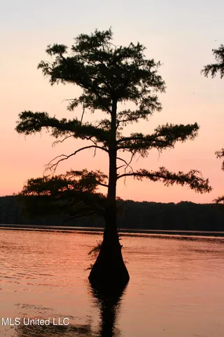 $1,250,000 | Bolivar Road, Benoit, MS 38725