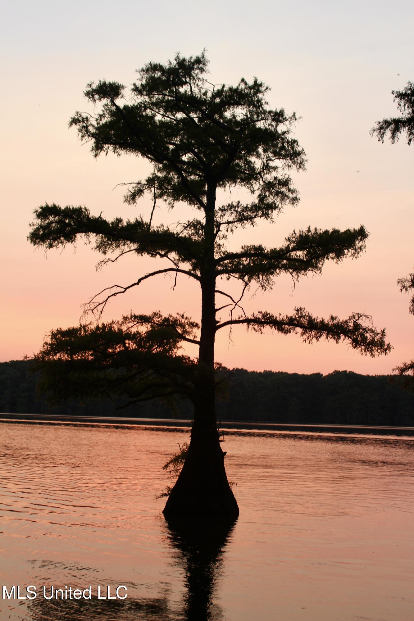 Bolivar Road Benoit, MS 38725 - Photo 92 of 112 IMG_0487