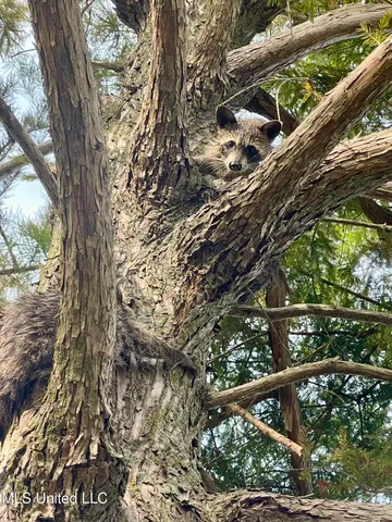 $1,250,000 | Bolivar Road, Benoit, MS 38725