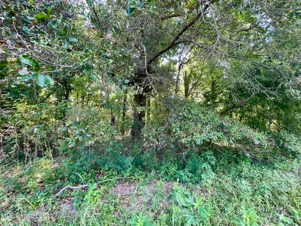 $1,250,000 | Bolivar Road, Benoit, MS 38725