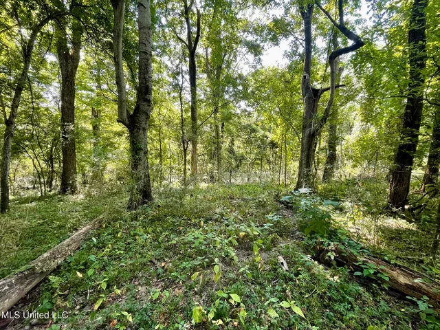 $1,250,000 | Bolivar Road, Benoit, MS 38725