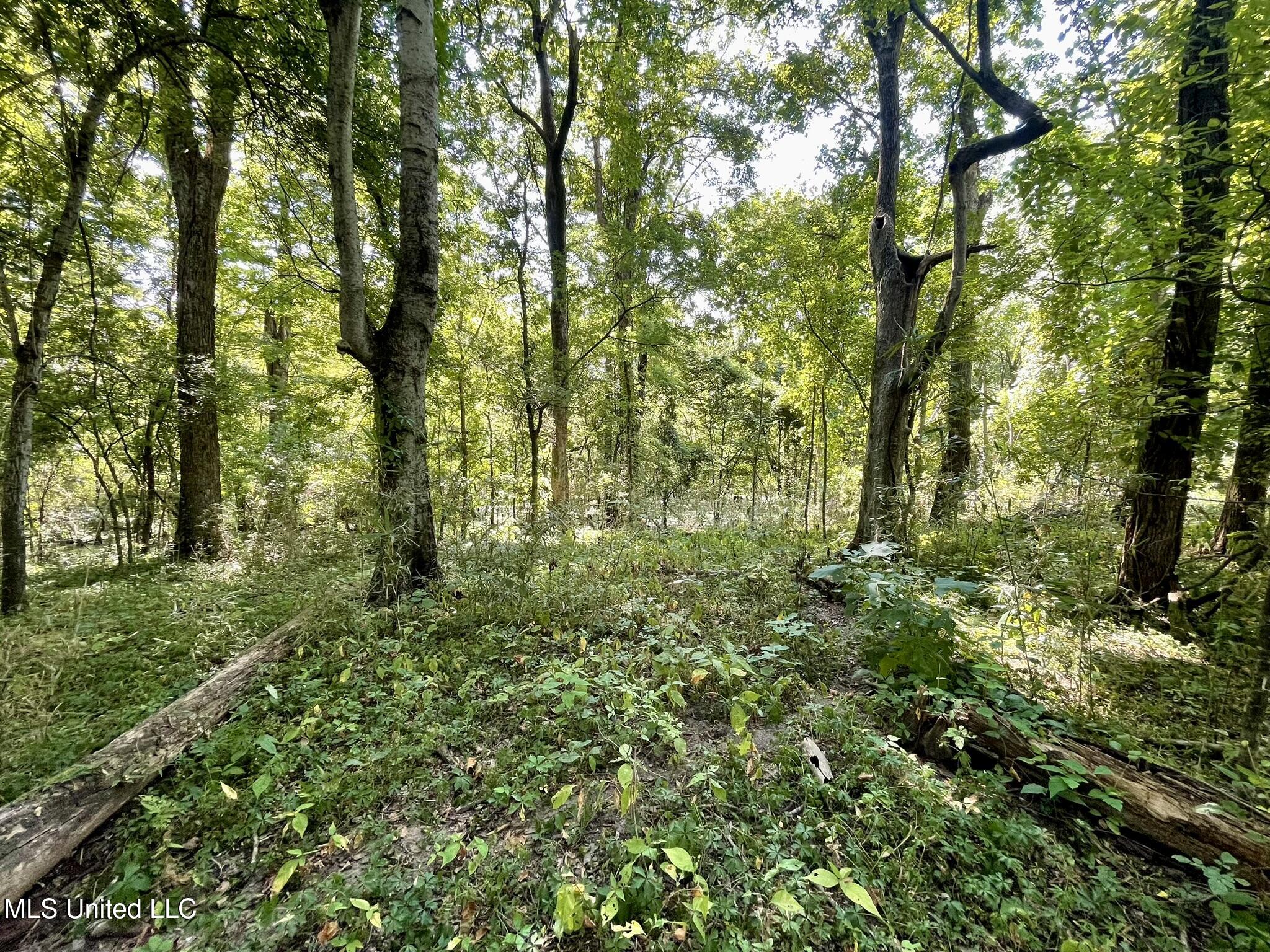 Bolivar Road Benoit, MS 38725 - Photo 98 of 112 IMG_5090